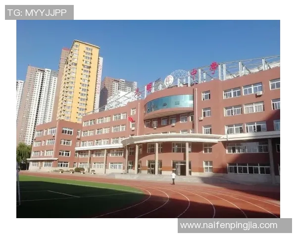 田宇翔的奋斗故事与梦想追寻：从平凡到卓越的成长之路